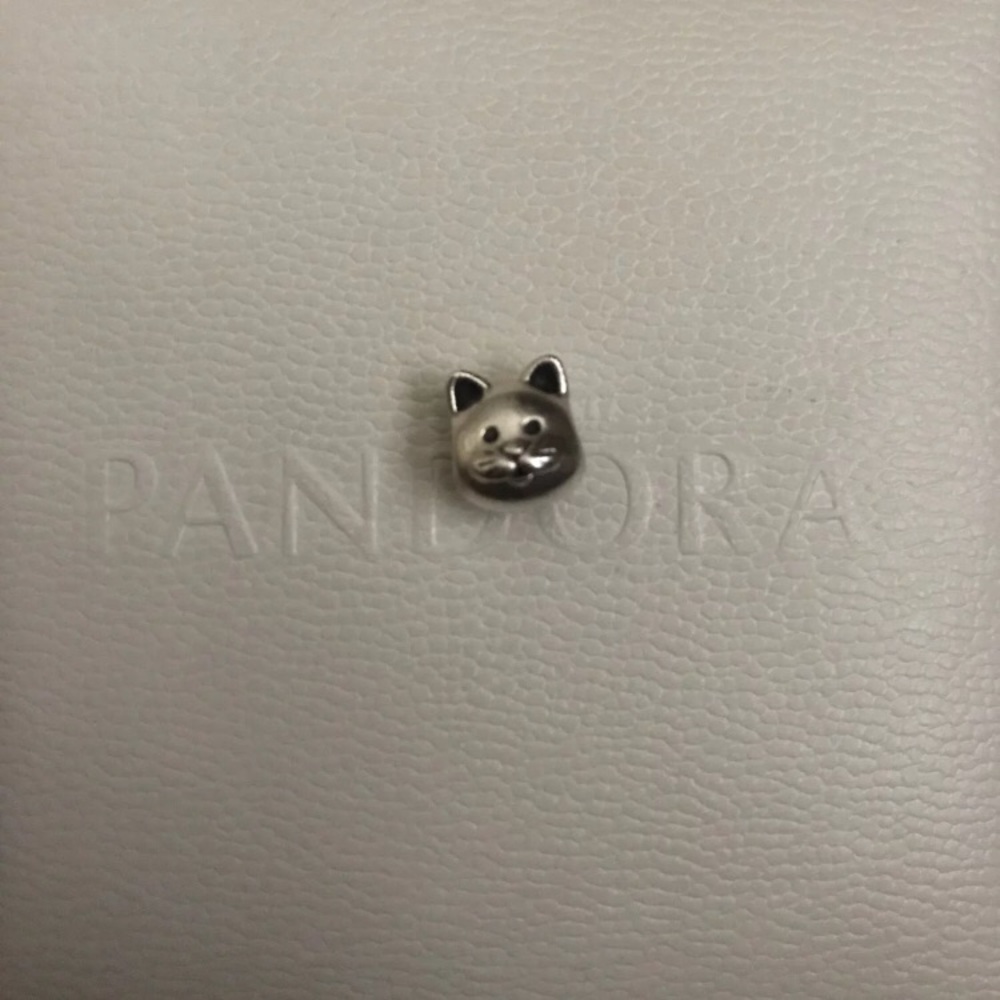 Pandora Charm